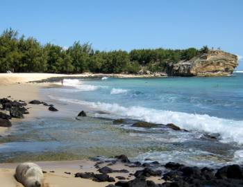 the bend of shipwreck's beach with a protruding cliff at the far end 