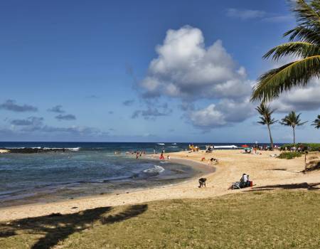 families enjoy the protected shallow waters at poipu beach state park