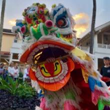 A person wears a Chinese dragon and performs at a Chinese New Year celebration in Kauai